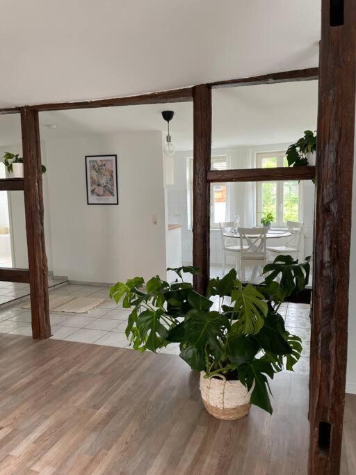 Charming Apartment Бланкенбург Экстерьер фото